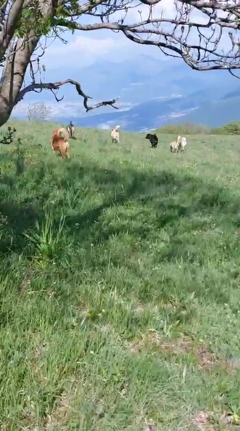 @Ferma dhive xhebexhia 🐐