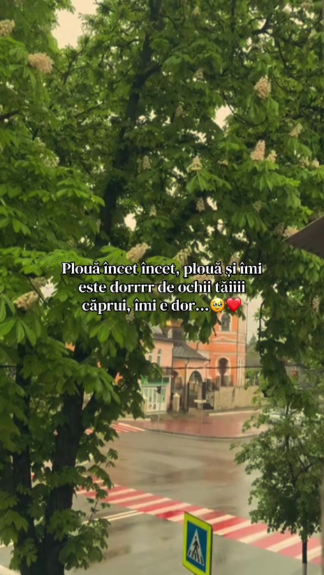 @ѕтʀᴀтυ_ᴊʀ