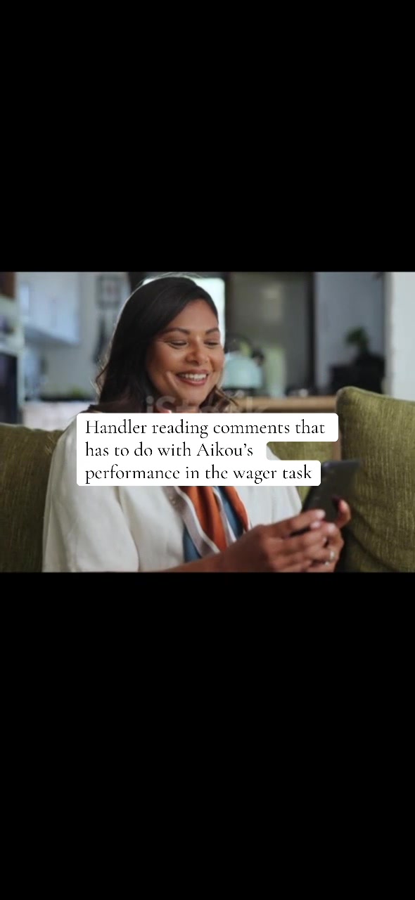 @Aikou