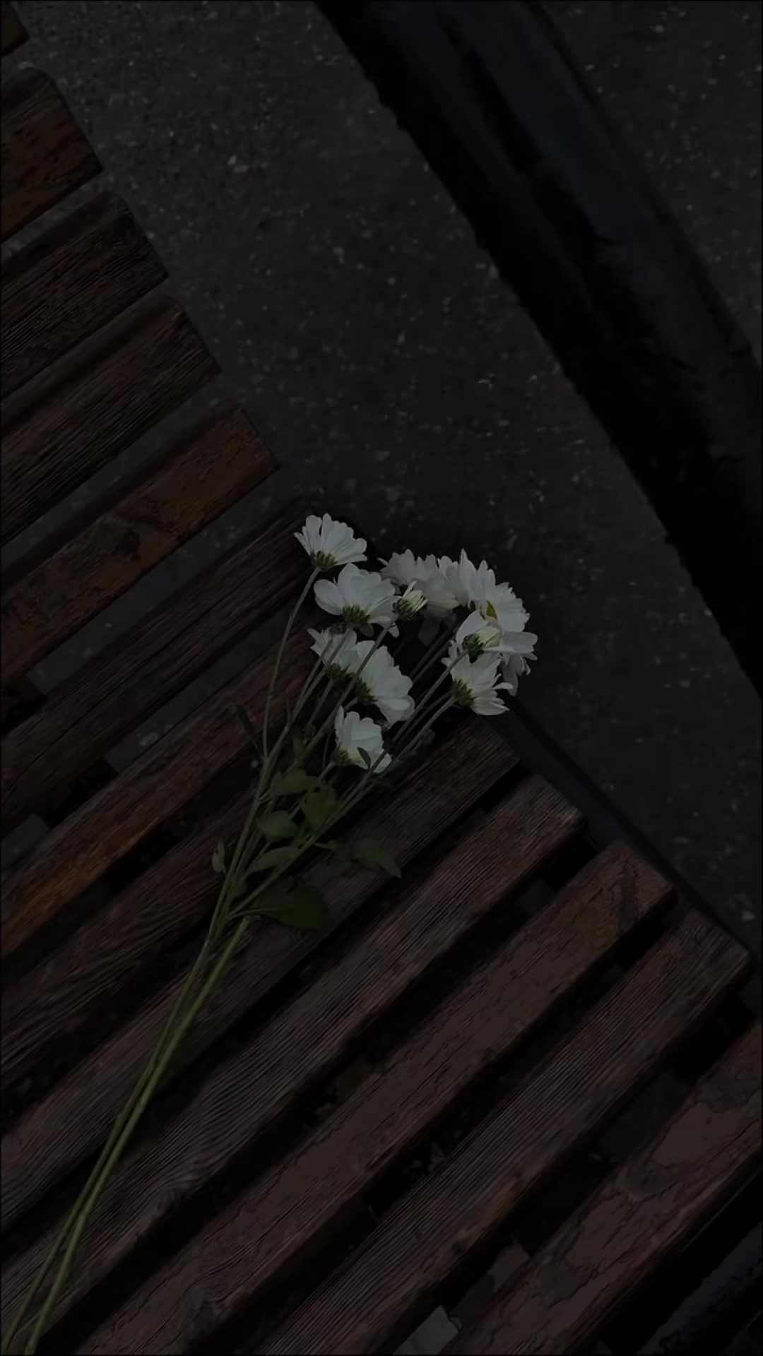 @𝙸𝙹𝙰𝙻ツ