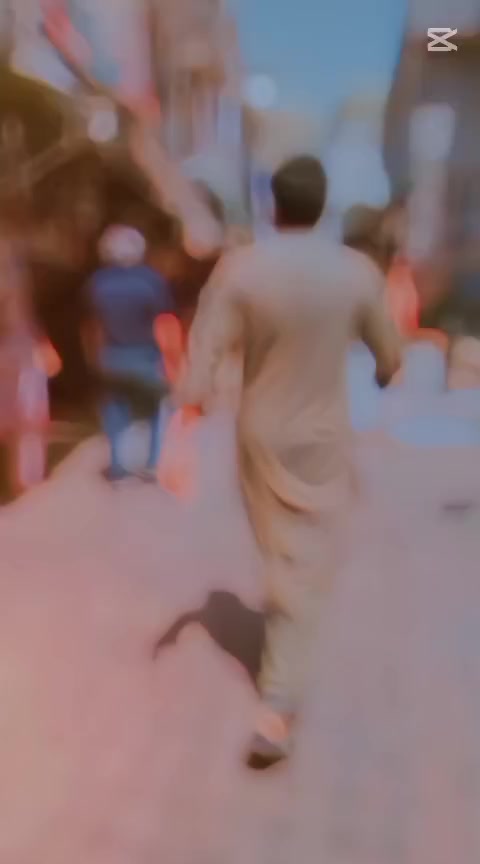 @saqlain abbas,5911