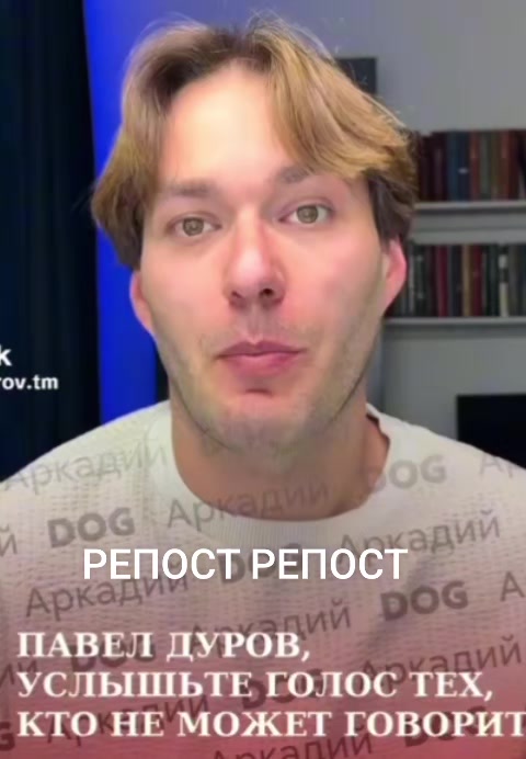 @КОТЫ СОБАКИ И ФИЛОСОФ