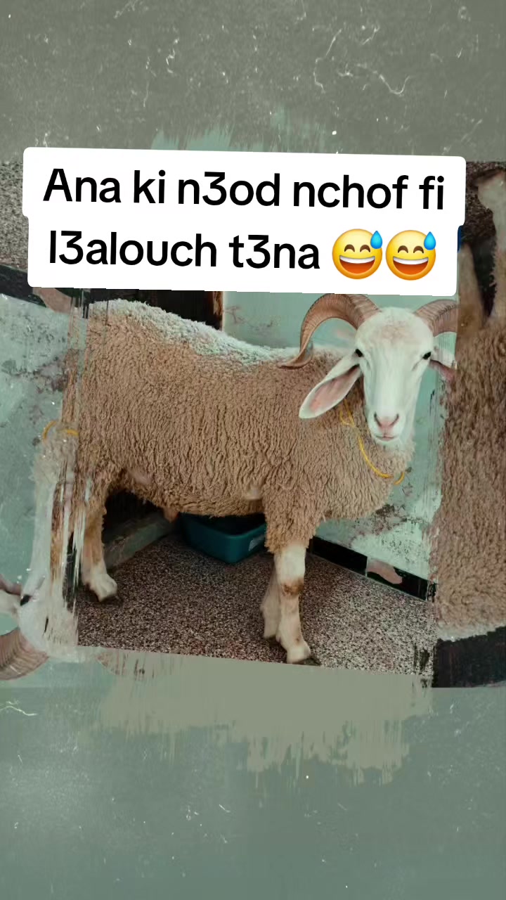 @Dr Nourhene Djaffali