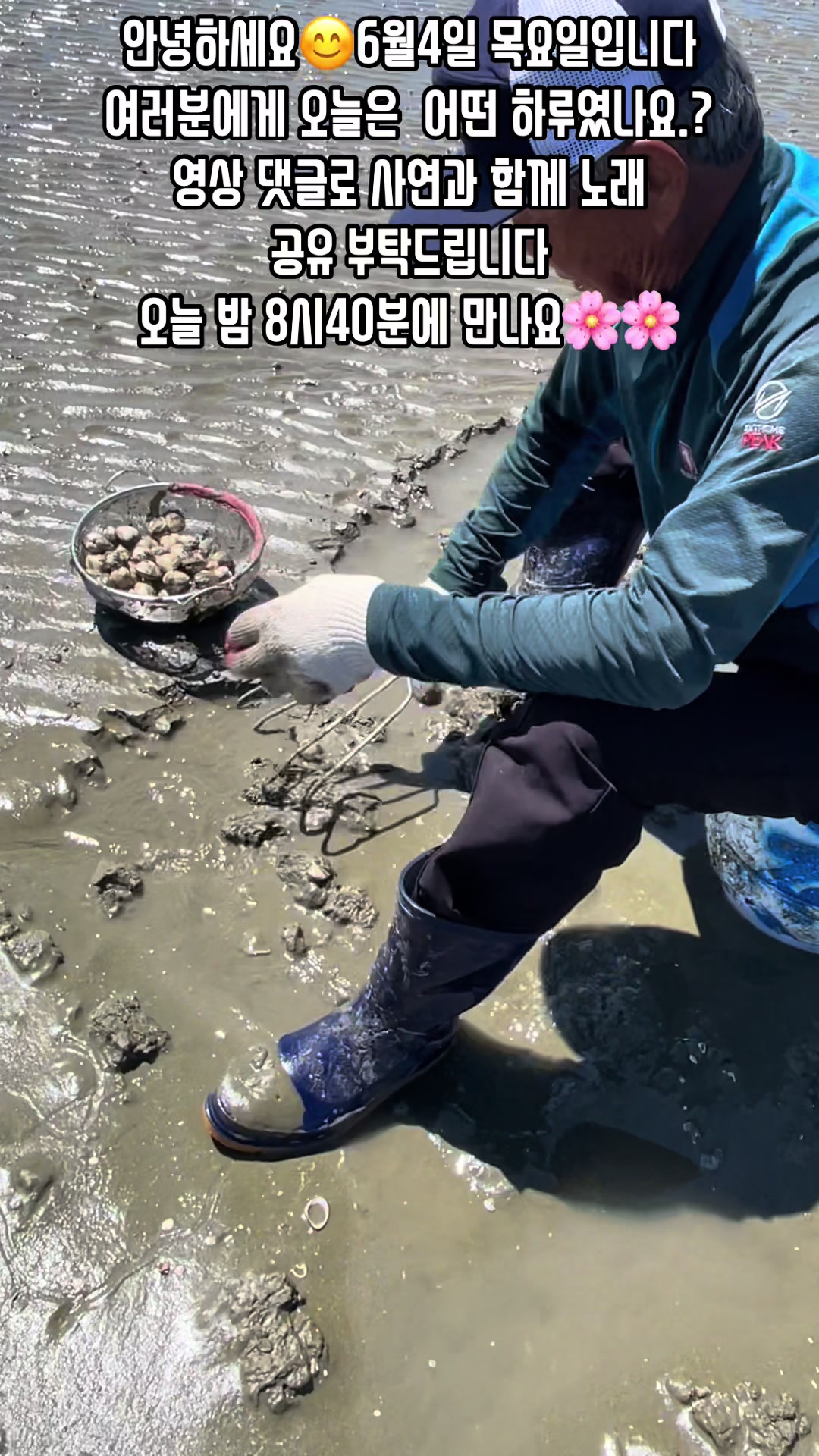 @🪴줄리애쉬