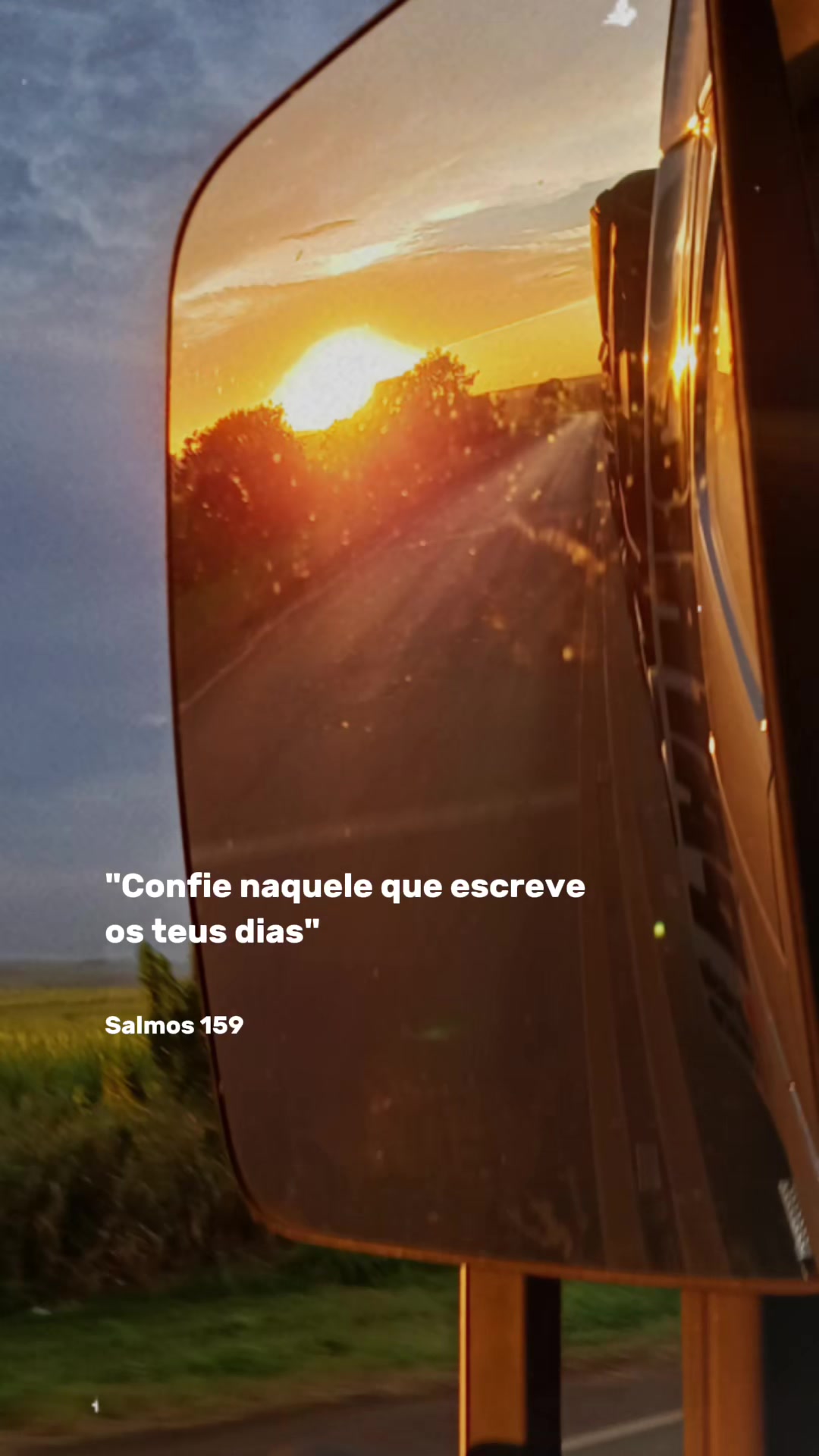@Nilson Oliveira
