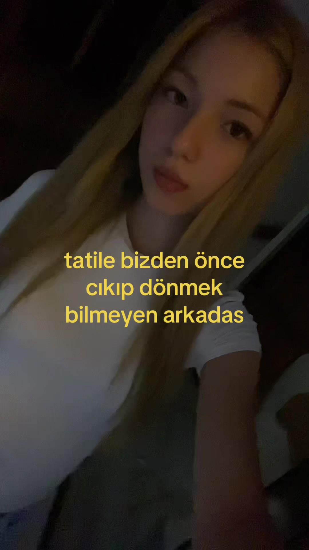 @mangolufuseteatapicisi