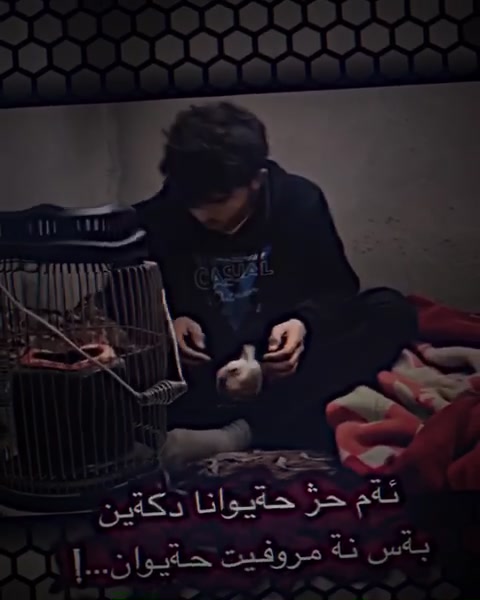 @يفان..؟(94)