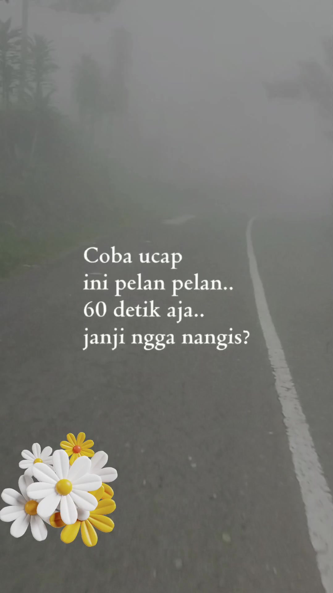 @Taurus♉