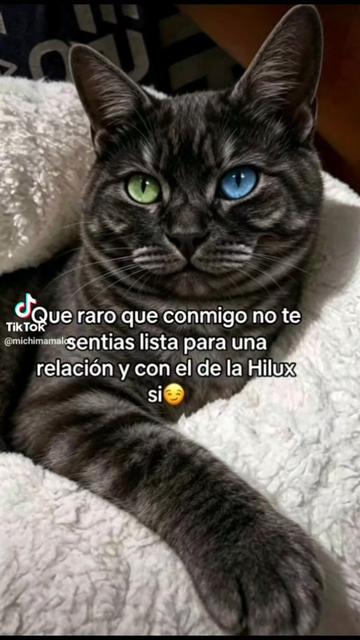 @~LuI&sect;~EL Unico 😁😁😆