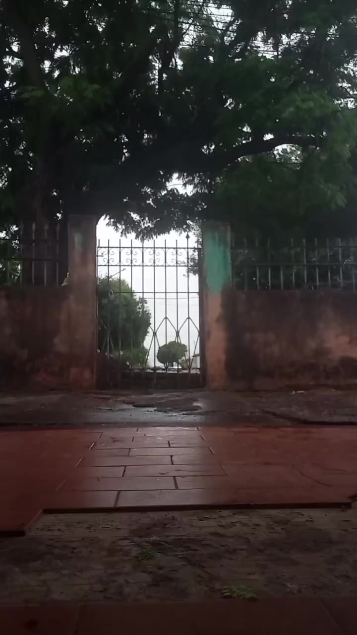@ᯓ★𝐌♱𝐥𝐤𝐚_𝐒𝐭𝐚𝐫𝐬𓆈🍃