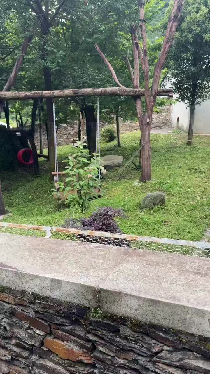 @FuRuHuShu_Bao