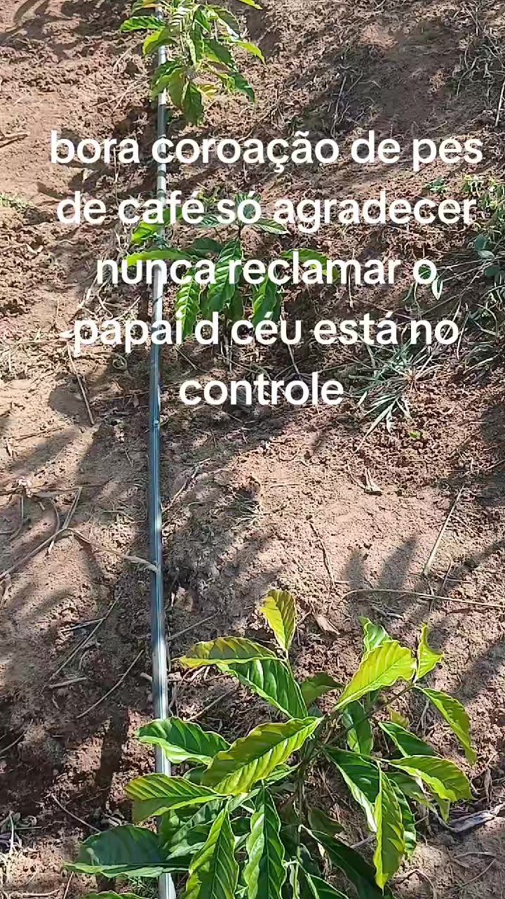 @ELIZEU  Batista