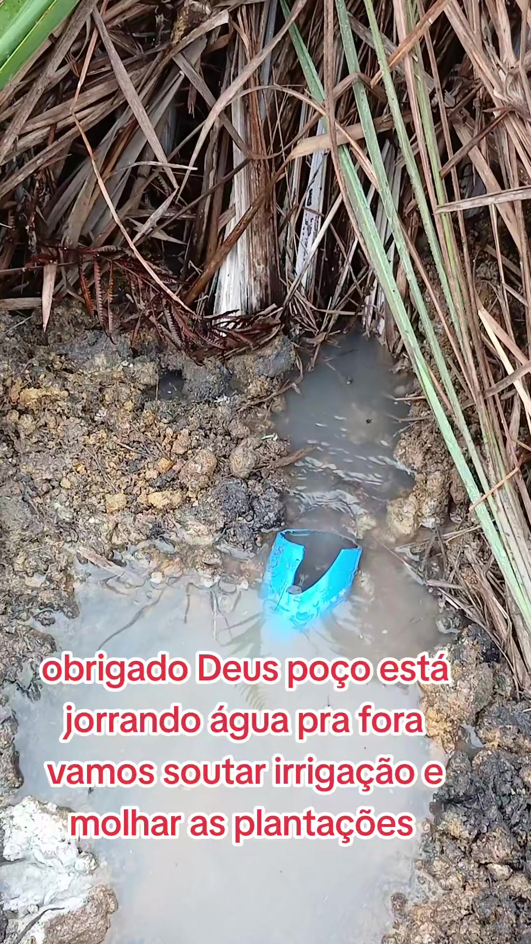 @ELIZEU Batista