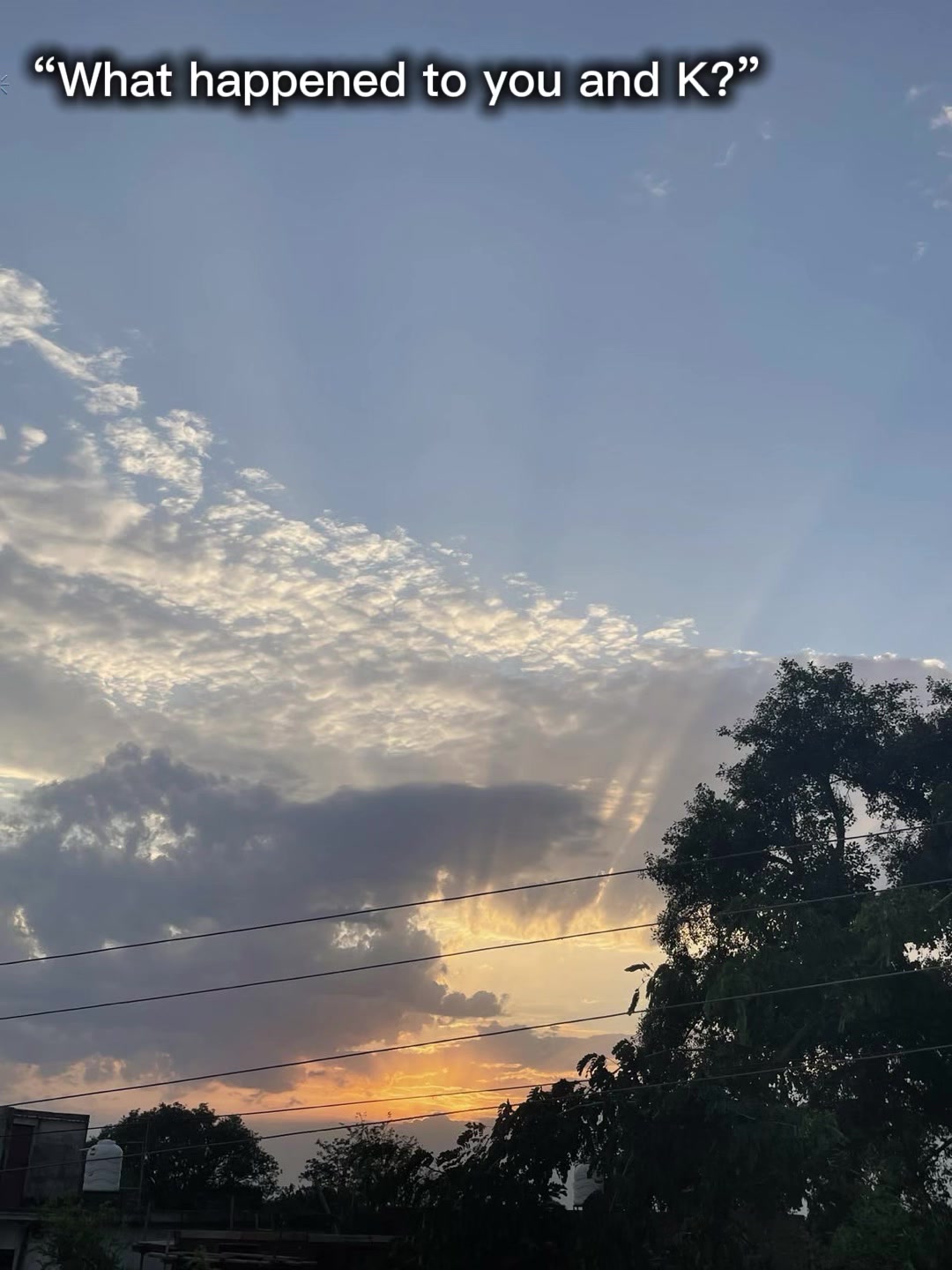 @𐙚 ̊ ℛℴ𝓈ℯ ꒰ ᧔ෆ᧓ ꒱