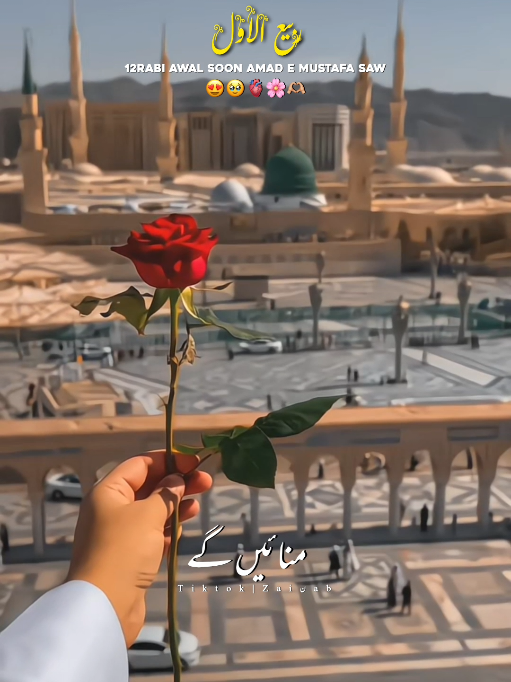 @𝐙𝐀𝐈ن𝐀𝐛ރ