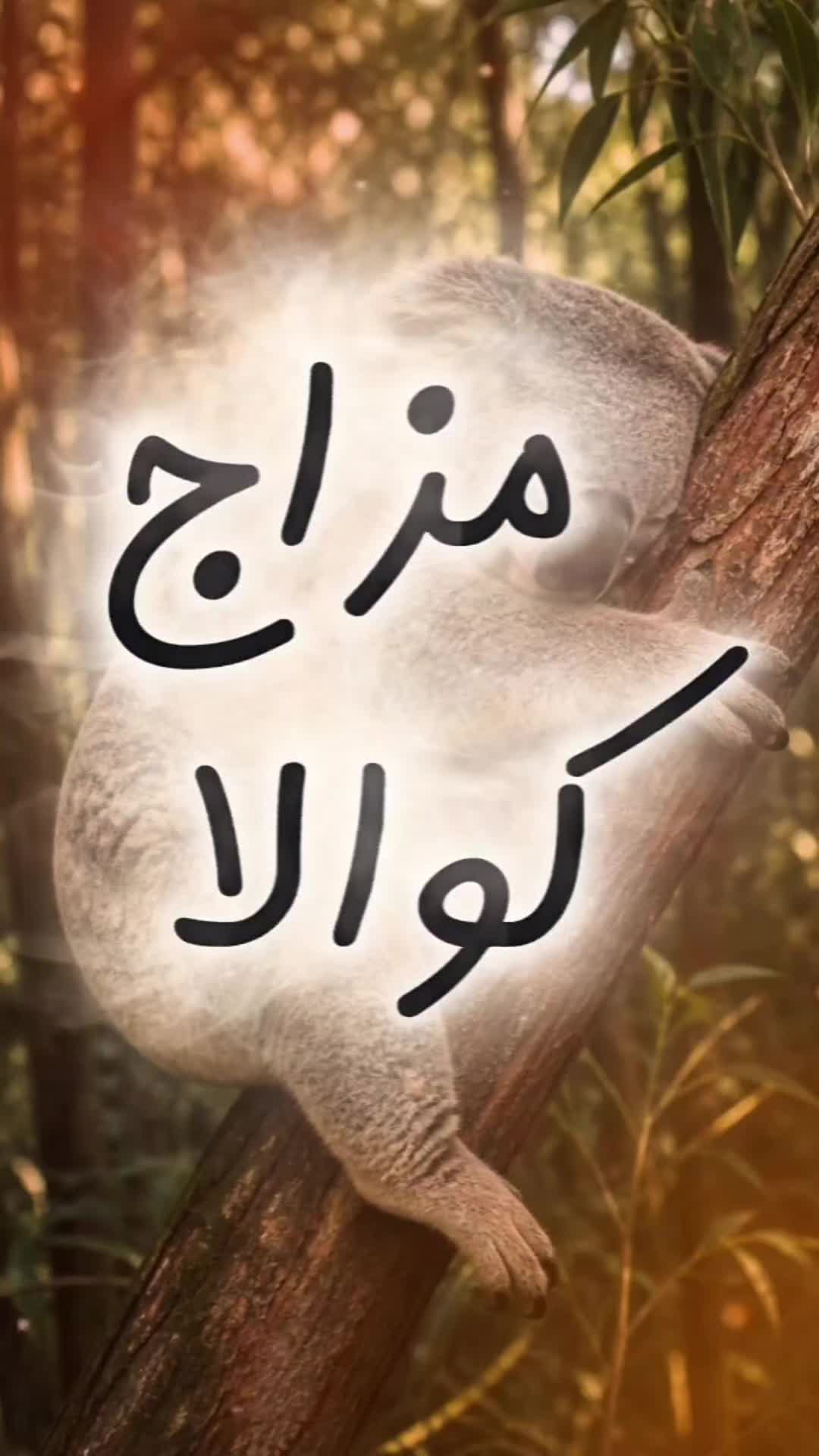 @الإعلامي آدم الحلو | AL-helwo