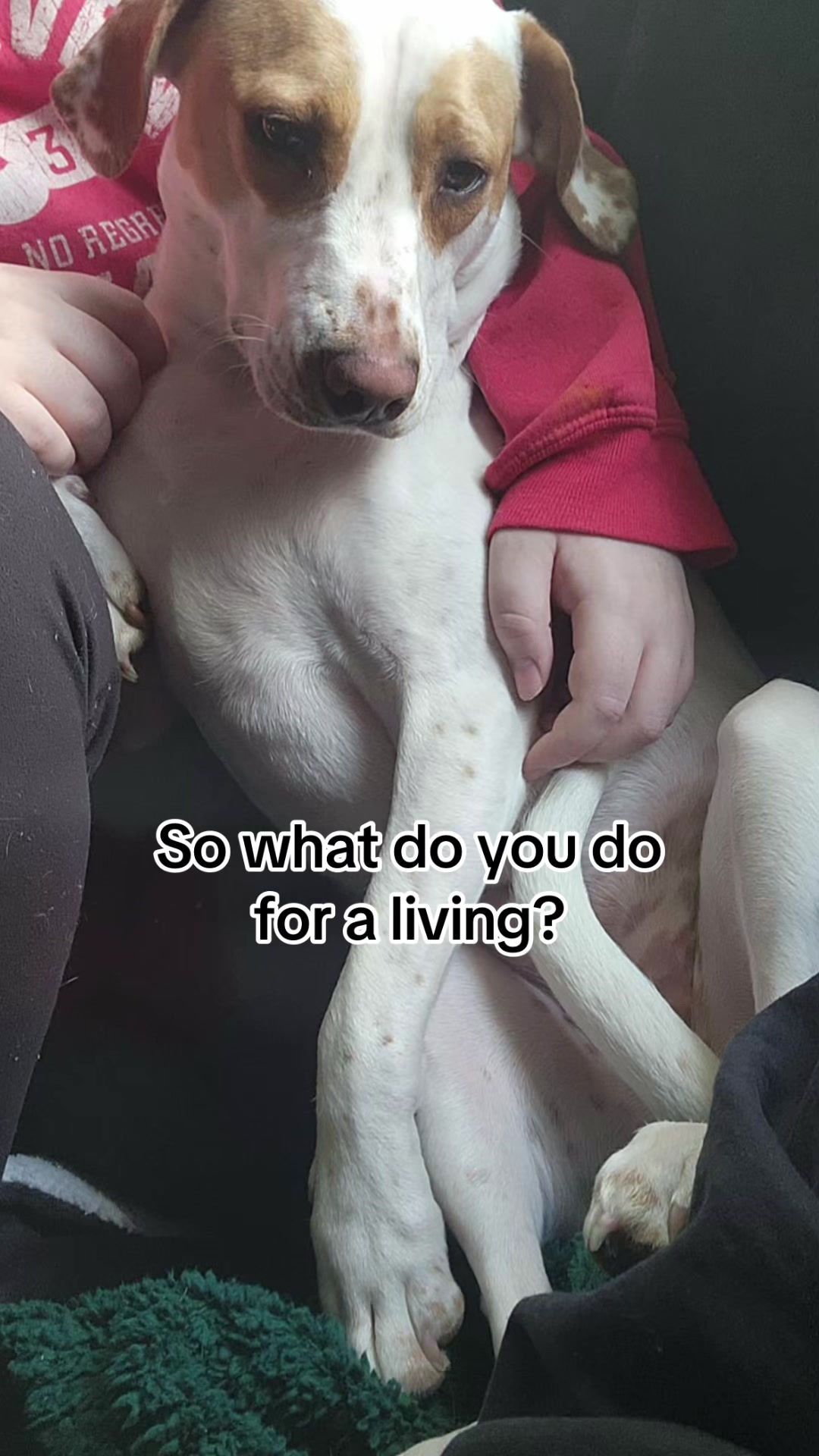 @Sproutie 🐶