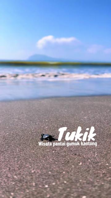 @gumukkantong.bwi