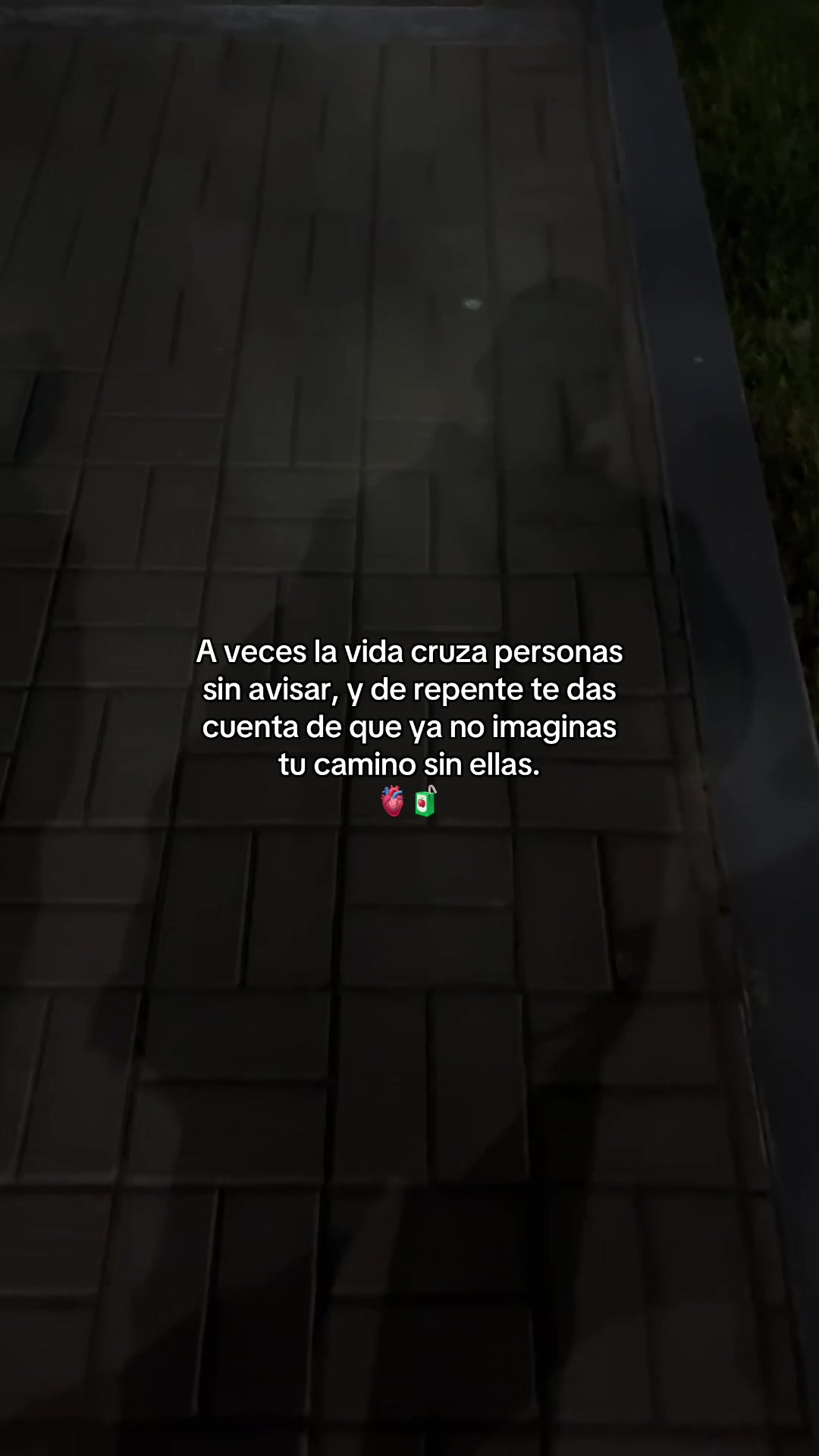 @Gatocix 🐱