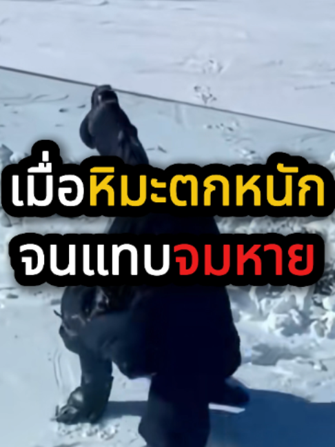 @QuickTech