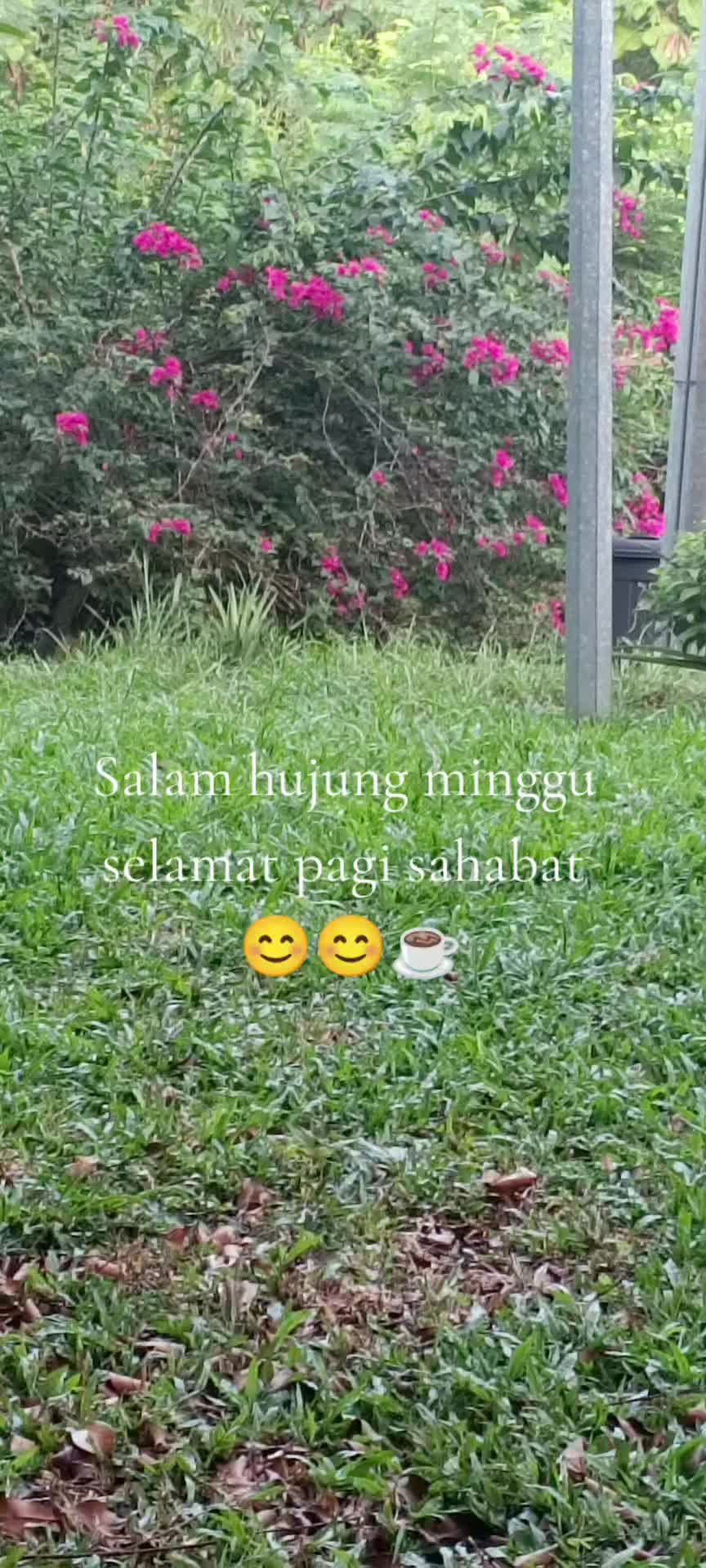 @Pak non