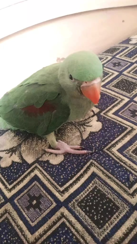 @😩💗