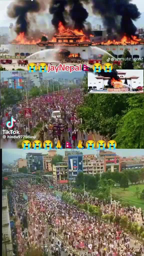 @hafizrain786