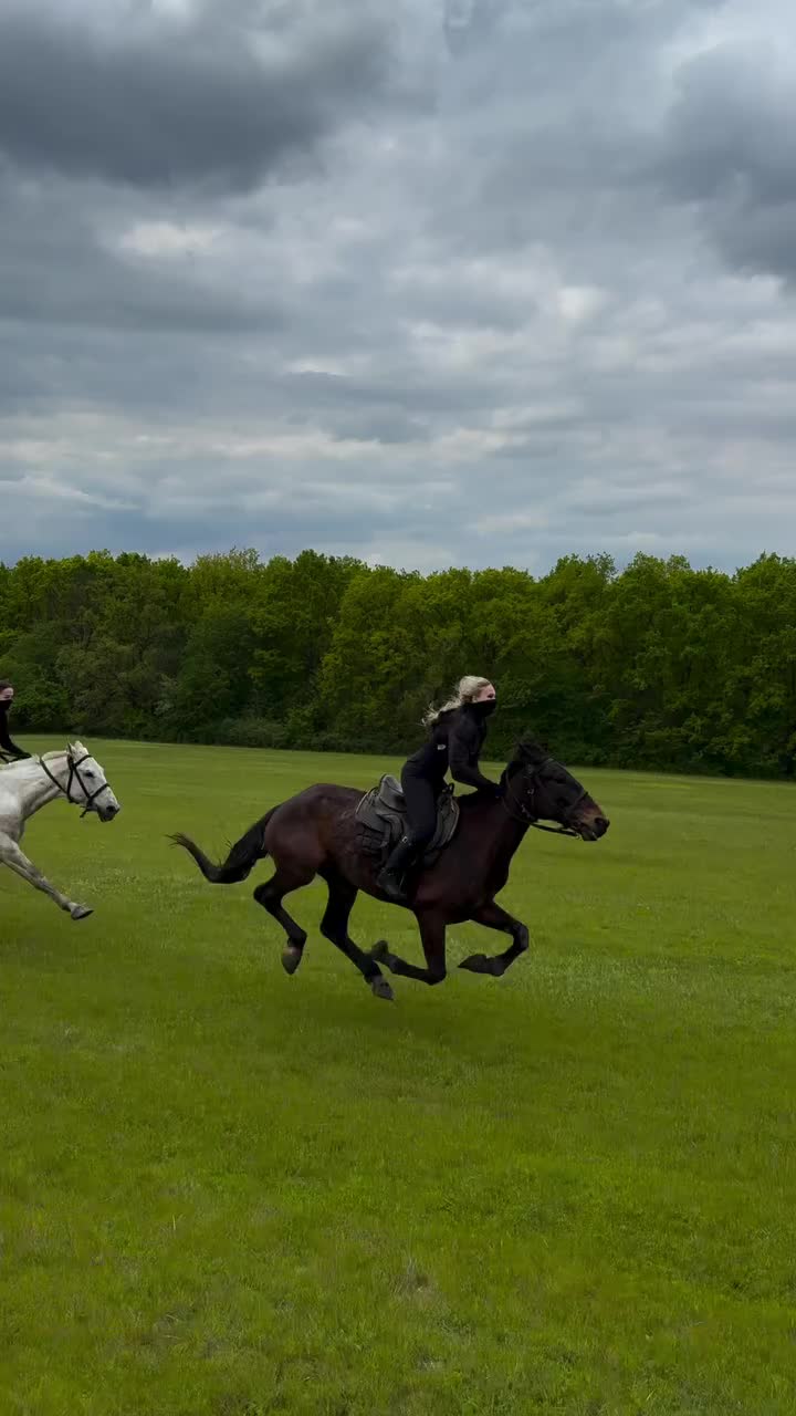 @ThunderGallops