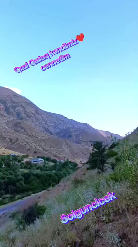 @Solguncicek