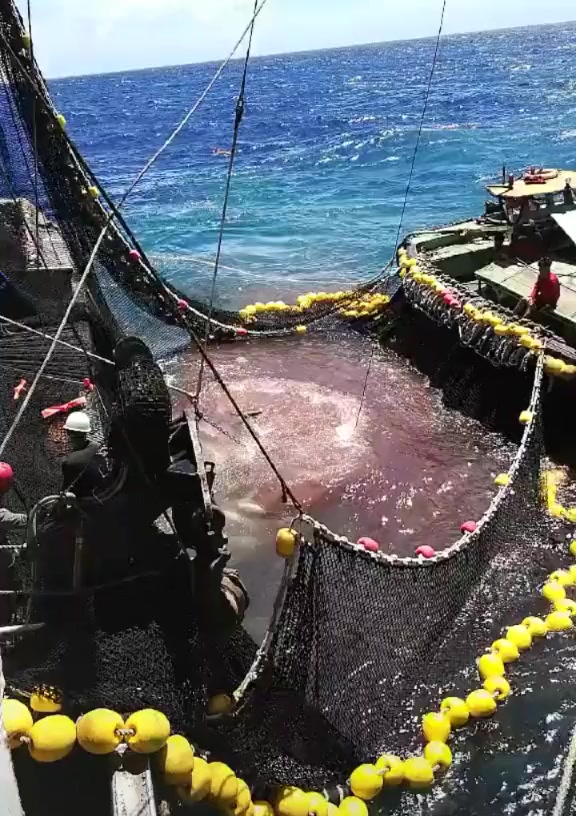 @🚢hàmìdø⚓⚡Ræysë🐬🏴☠️
