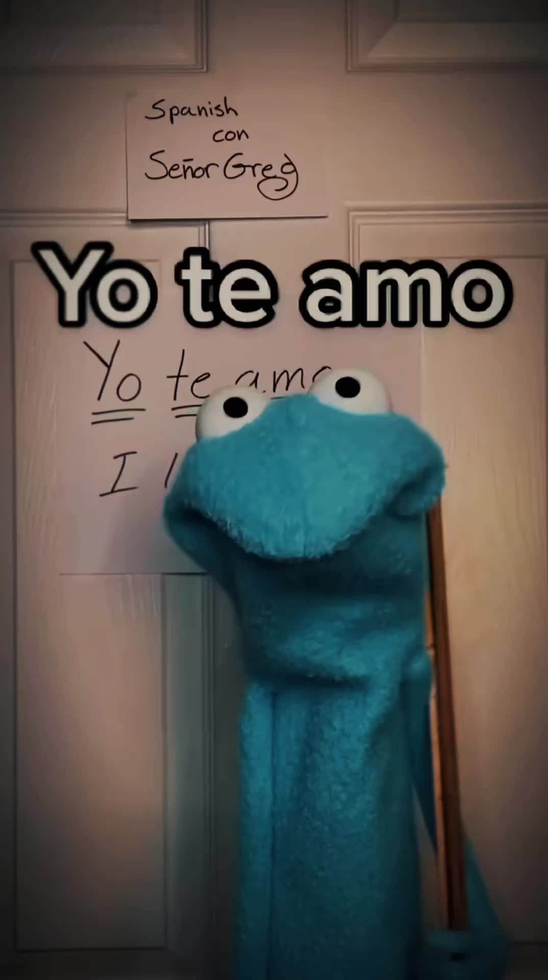 @vivi