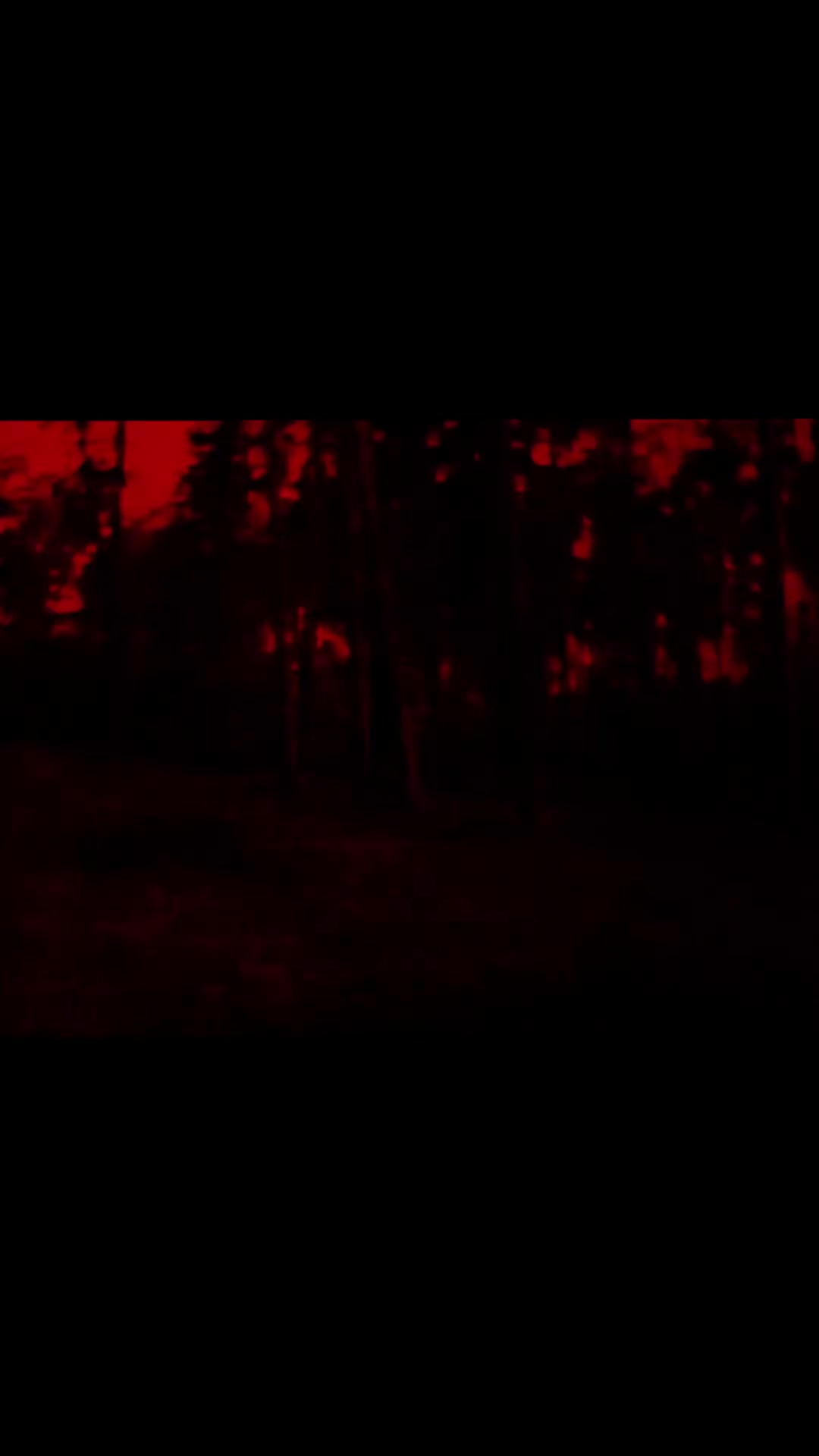 @666RUN6