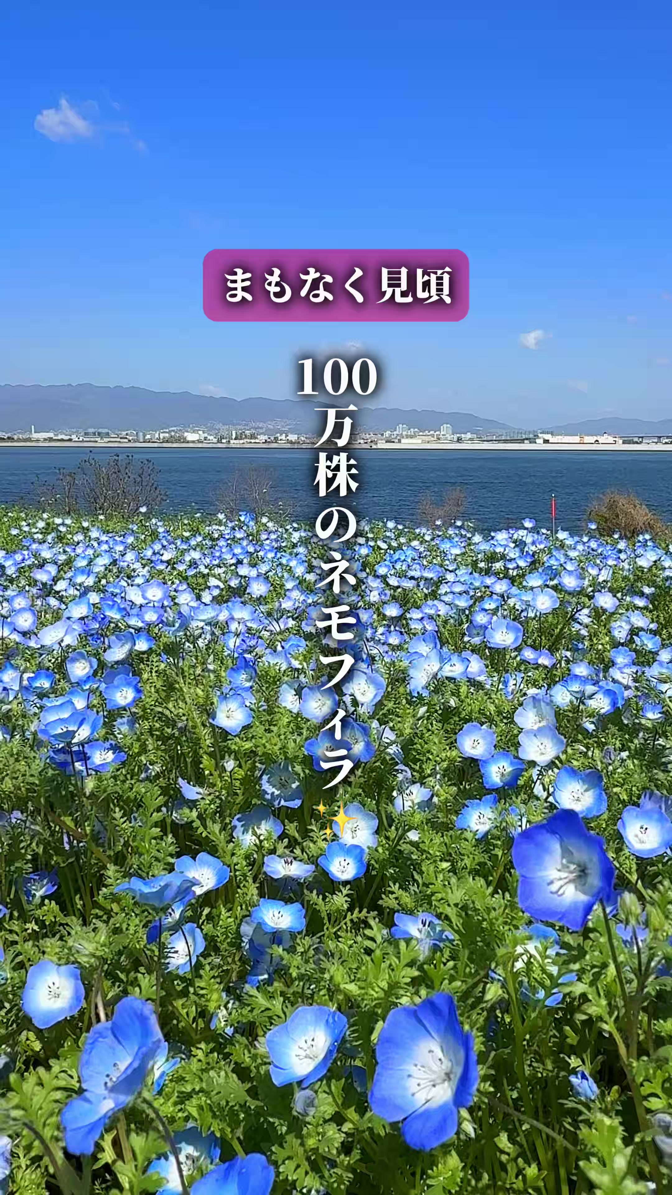 @ひろと / 大阪発！関西トレンド独占旅🔥