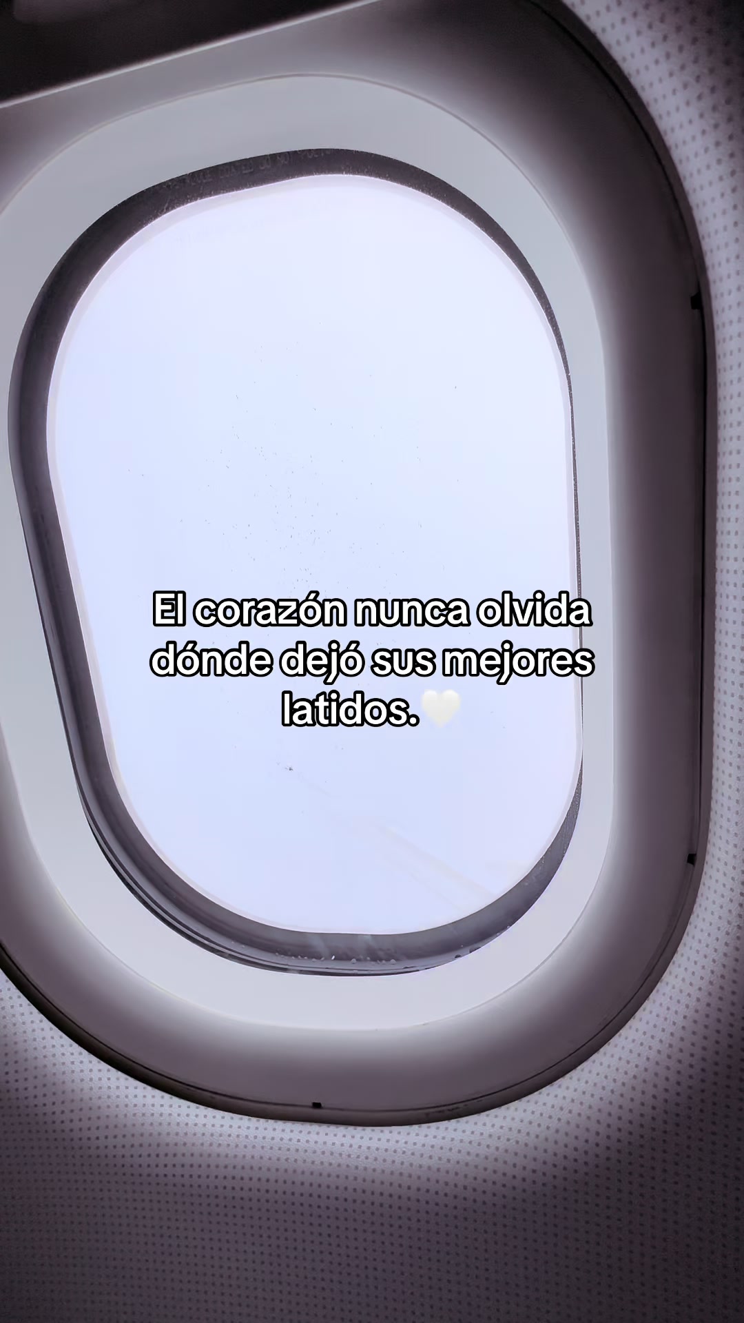 @Carolina🤍