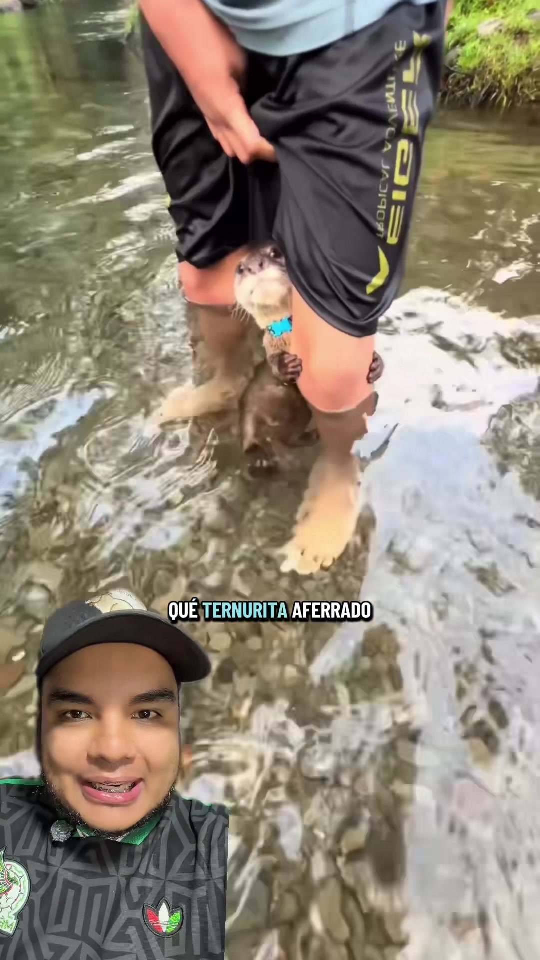 @Jair Herrera 🐆