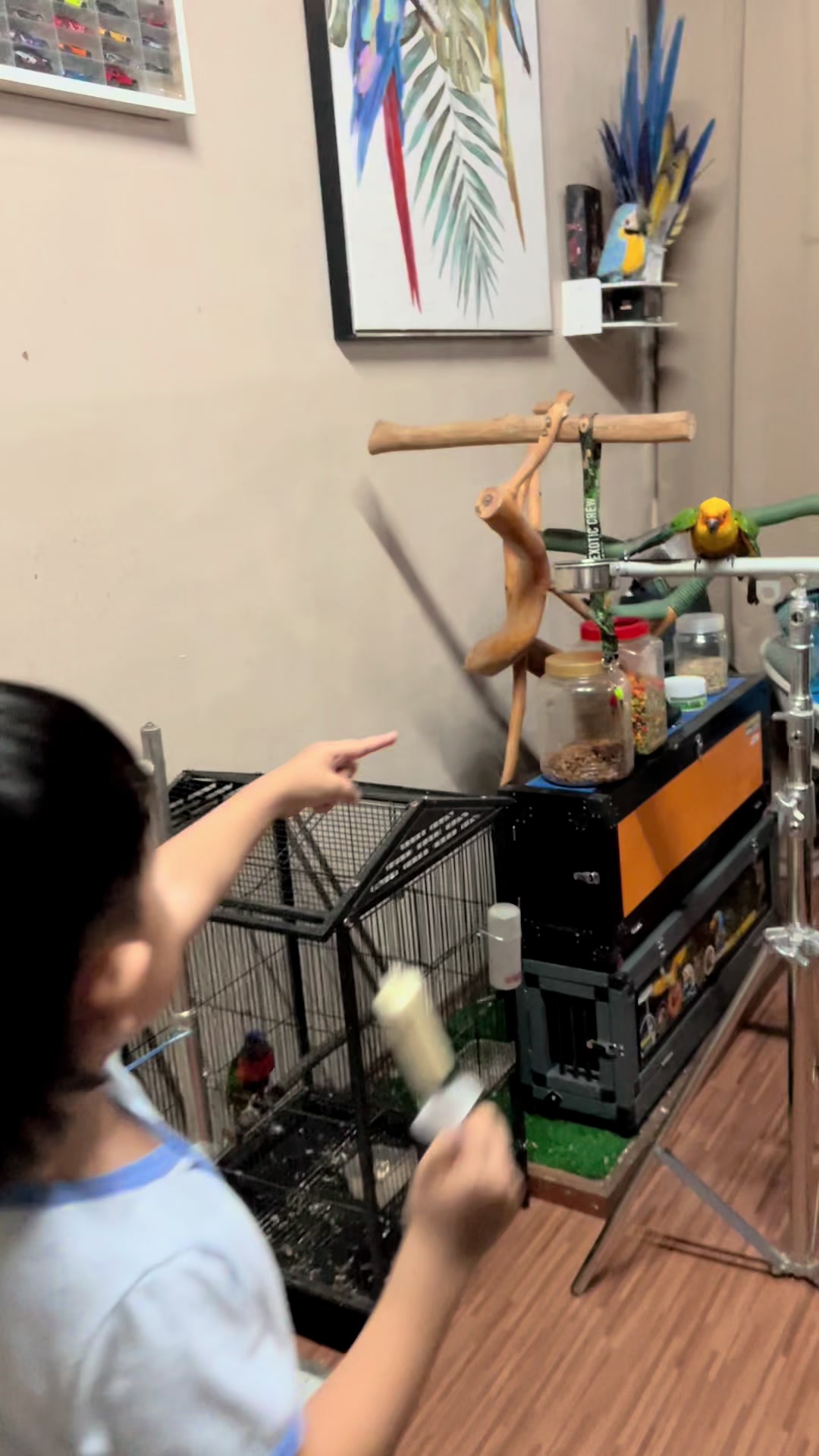 @Amarrydha