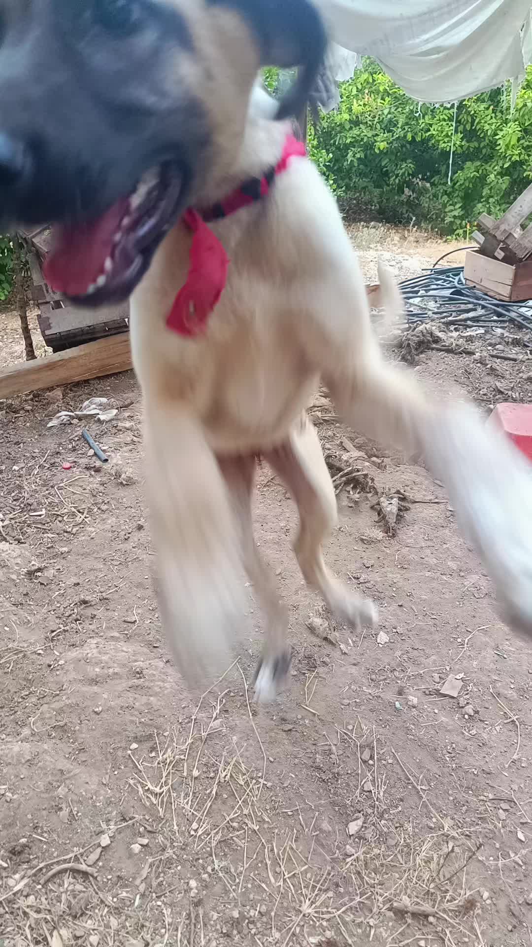 @Recep Ballı