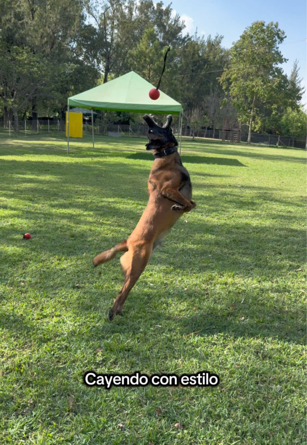 @simon_elmalinois