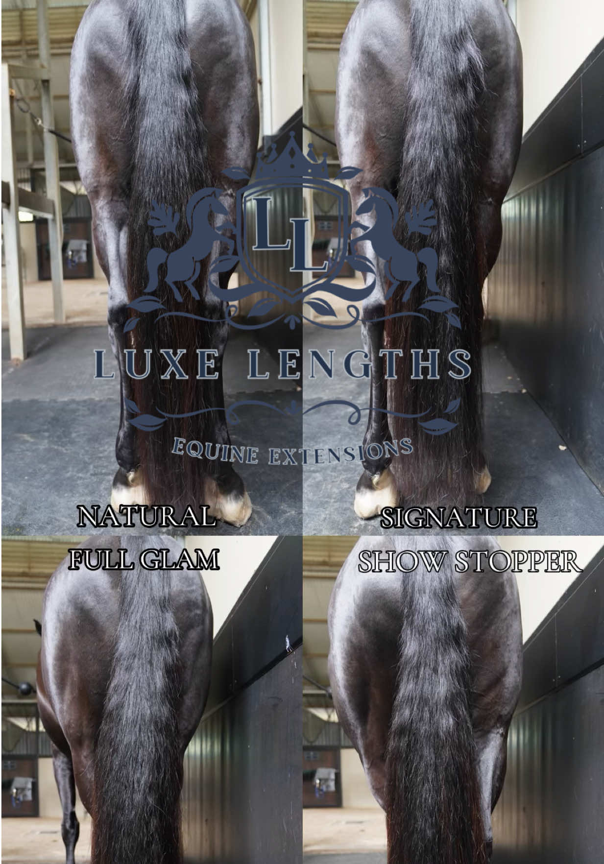 @Luxe Lengths Equine Extensions