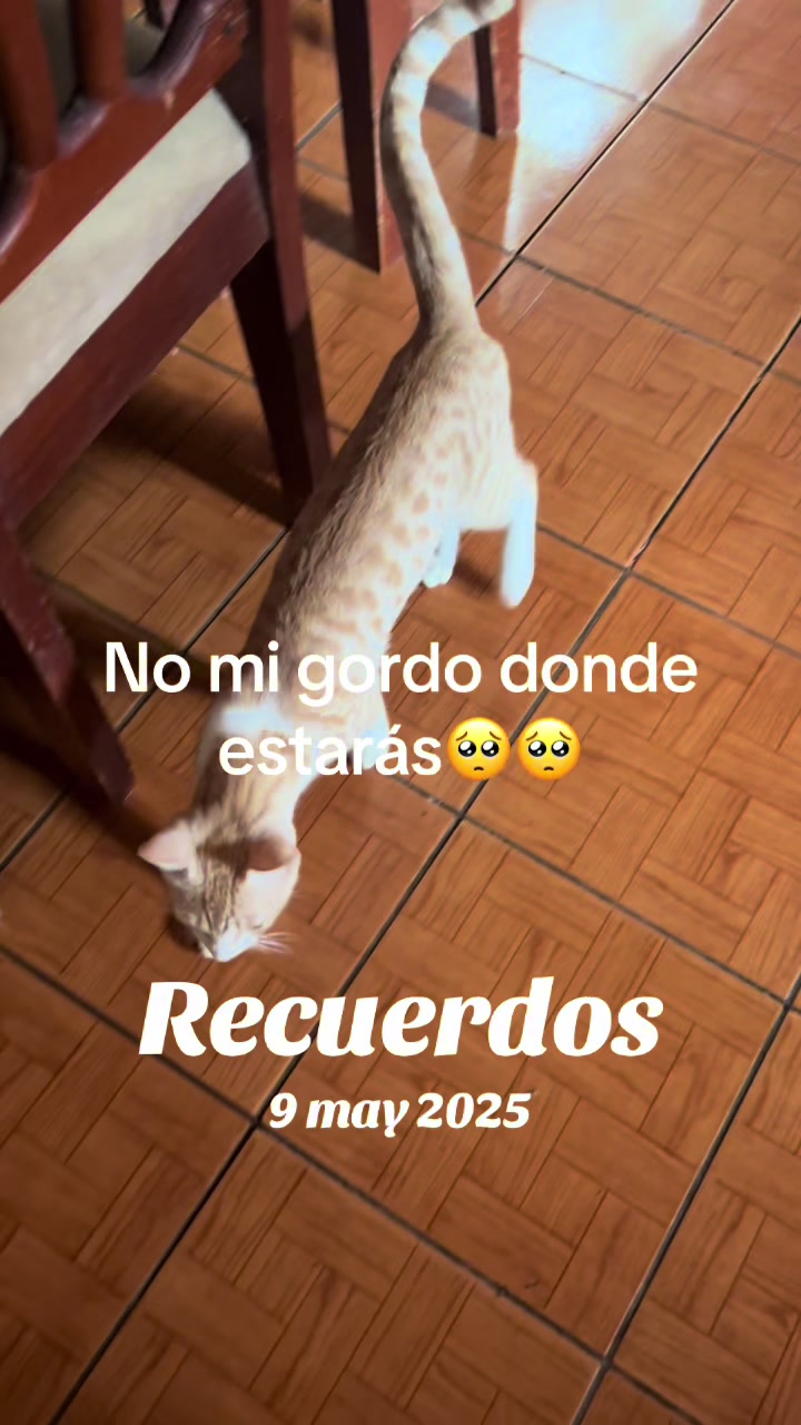 @Vanne&ensp;Guzm&aacute;n