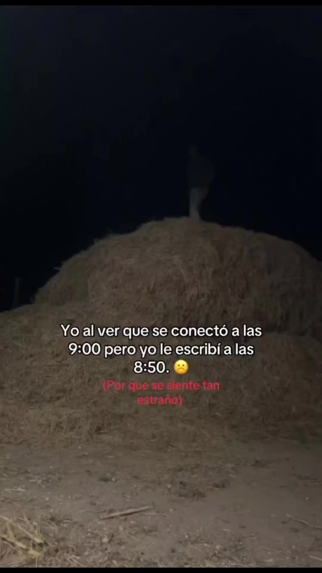 @WenArgüelloo