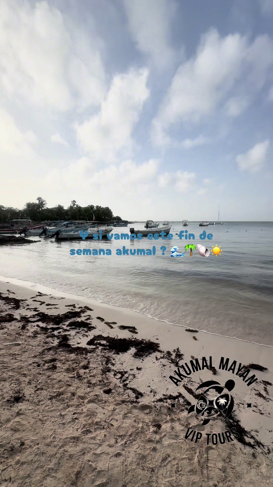 @akumal mayan vip tours