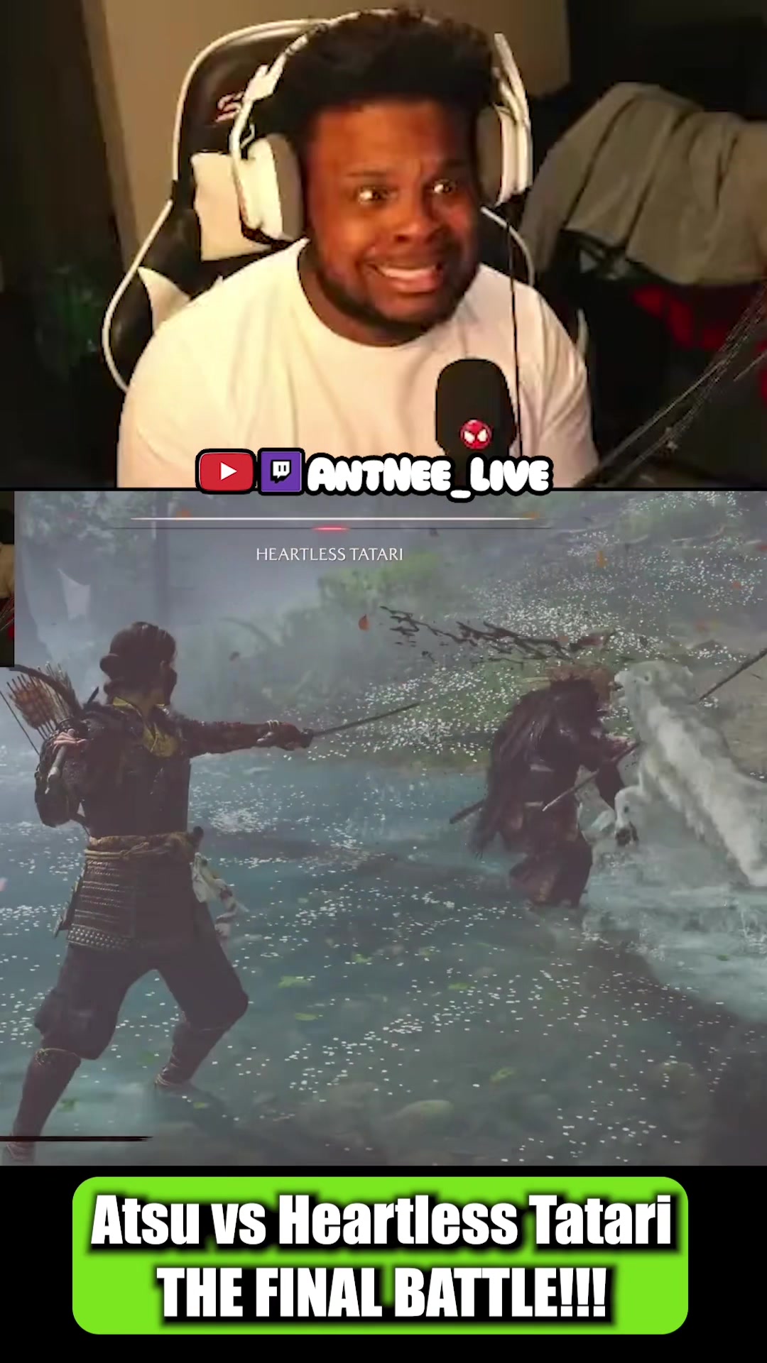 @AntNee Live