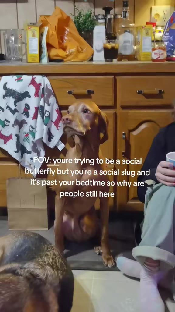 @brianne & your dog probably