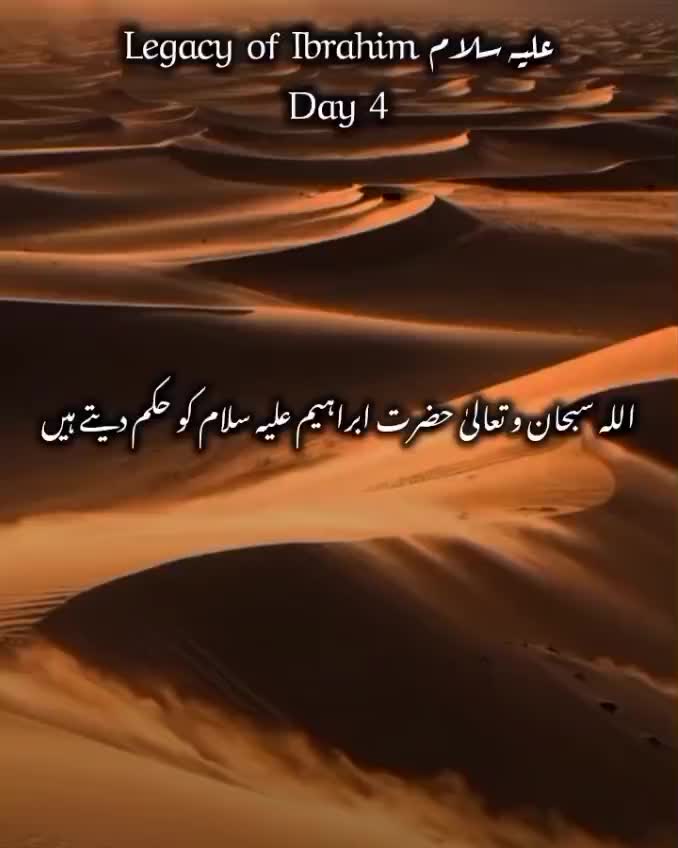 @✨ نورِ ہدایت ✨