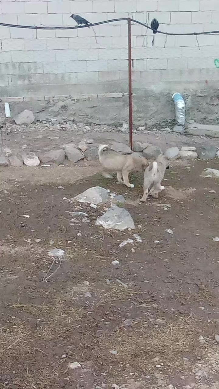 @Yusuf saldık