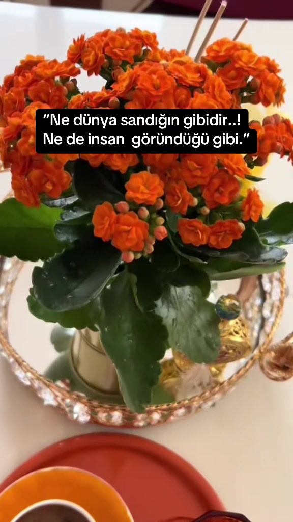 @❤️kahvekeyfiim ☕️