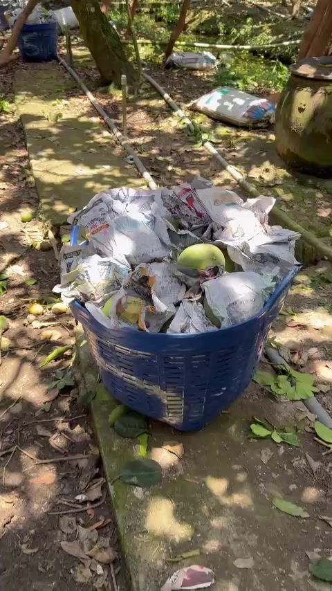 @Bàn tay nhỏ 63B3