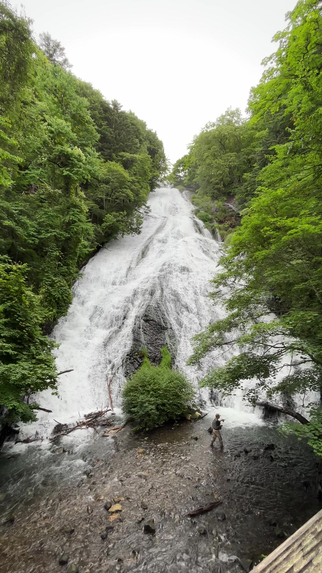 @YOHAKU.scenery