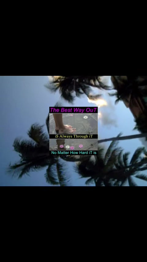 @whotf